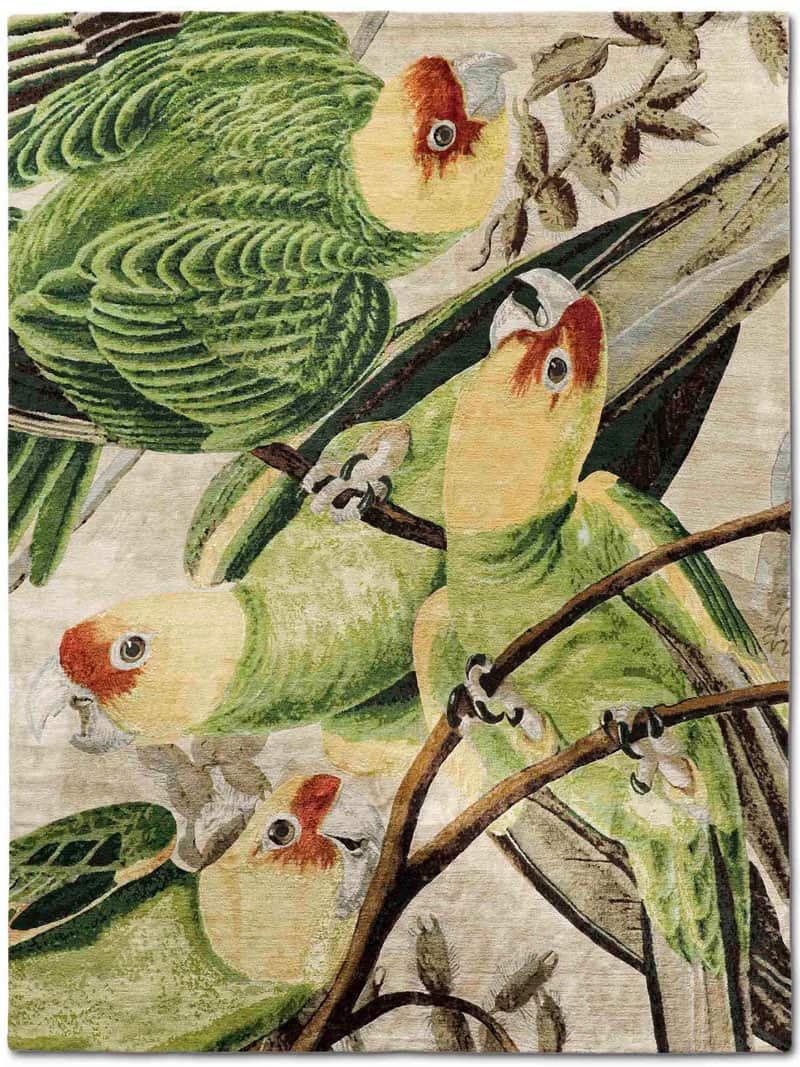 Parrots Luxury Handmade Rug