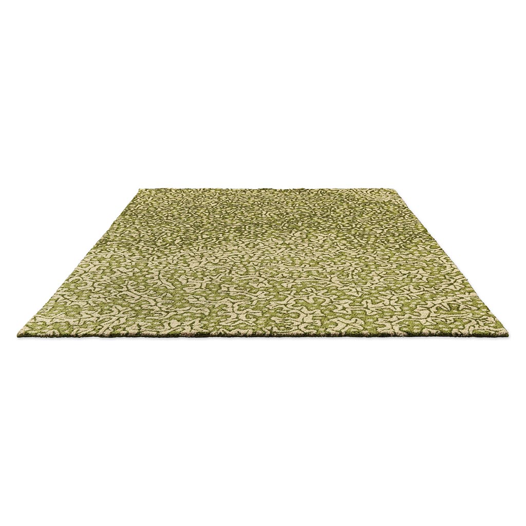 Olive Earth Outdoor Rug