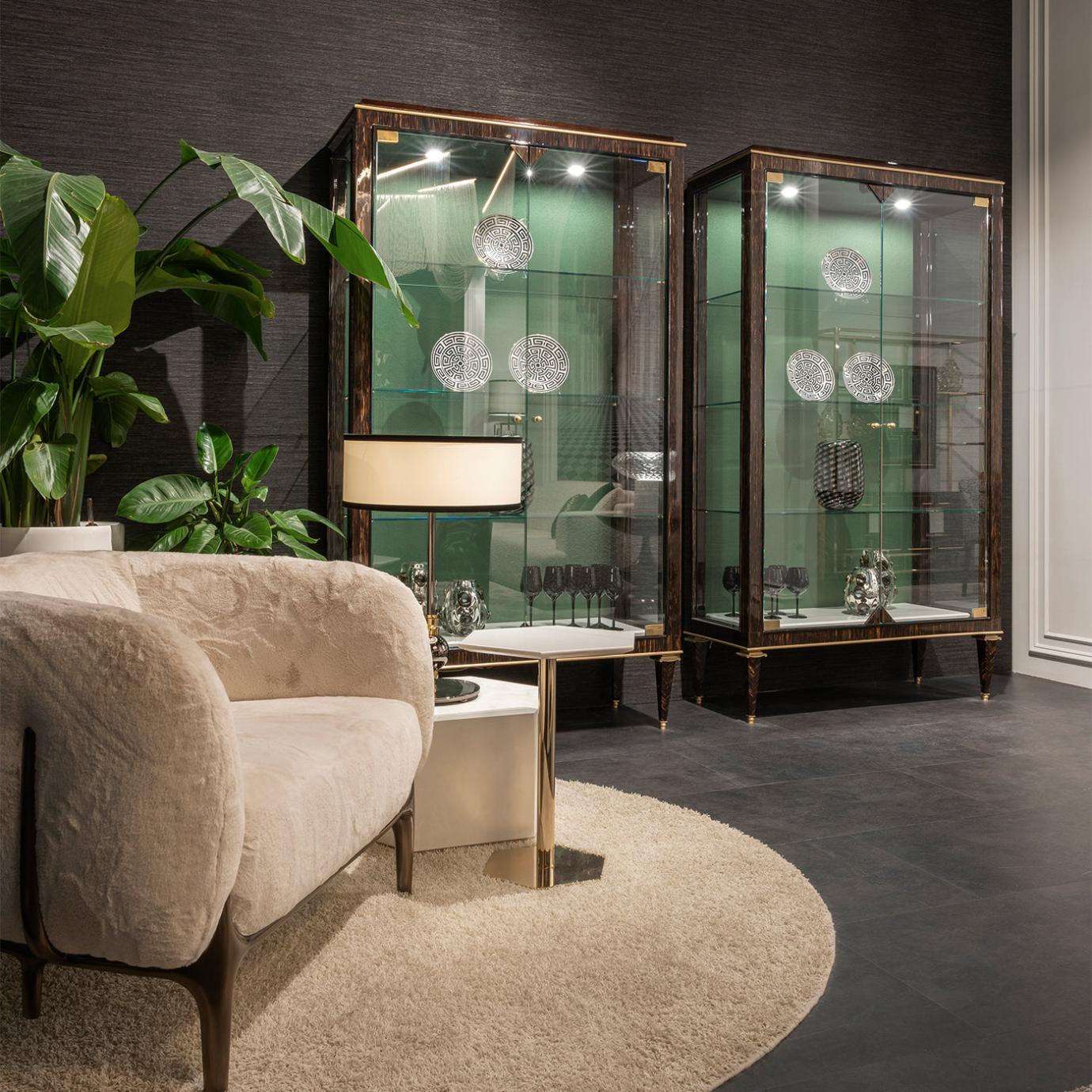 Palm Wood Brass Accents Cabinet