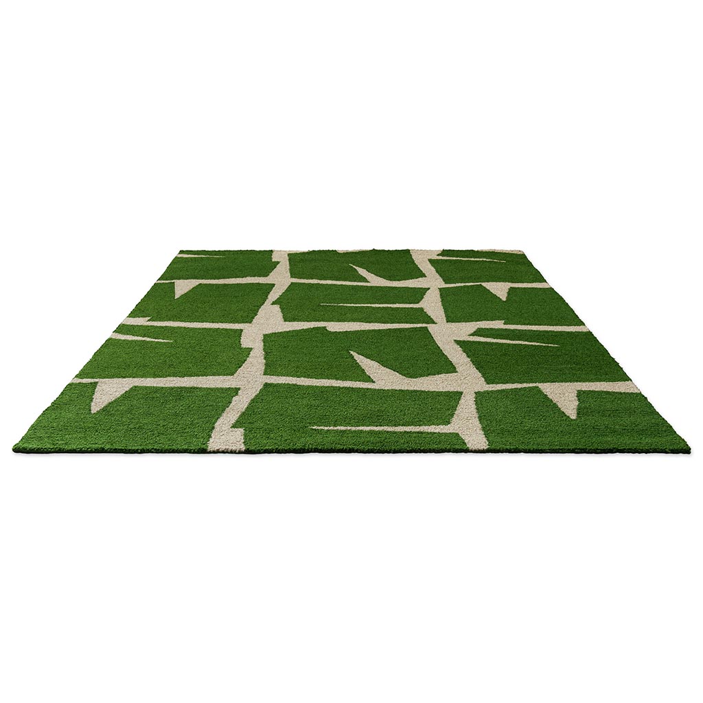Green Desert Outdoor Rug | Size: 6' 7