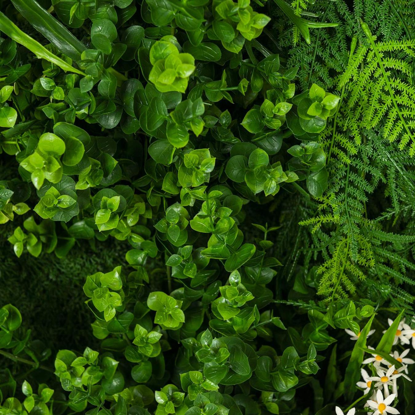 Meleda Outdoor Greenery Wall Composition
