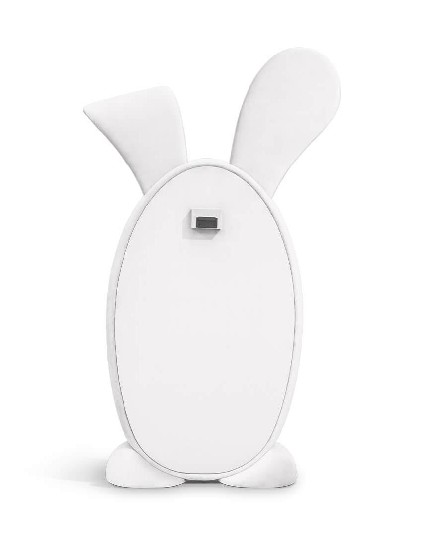 Bunny Wonderland Mirror