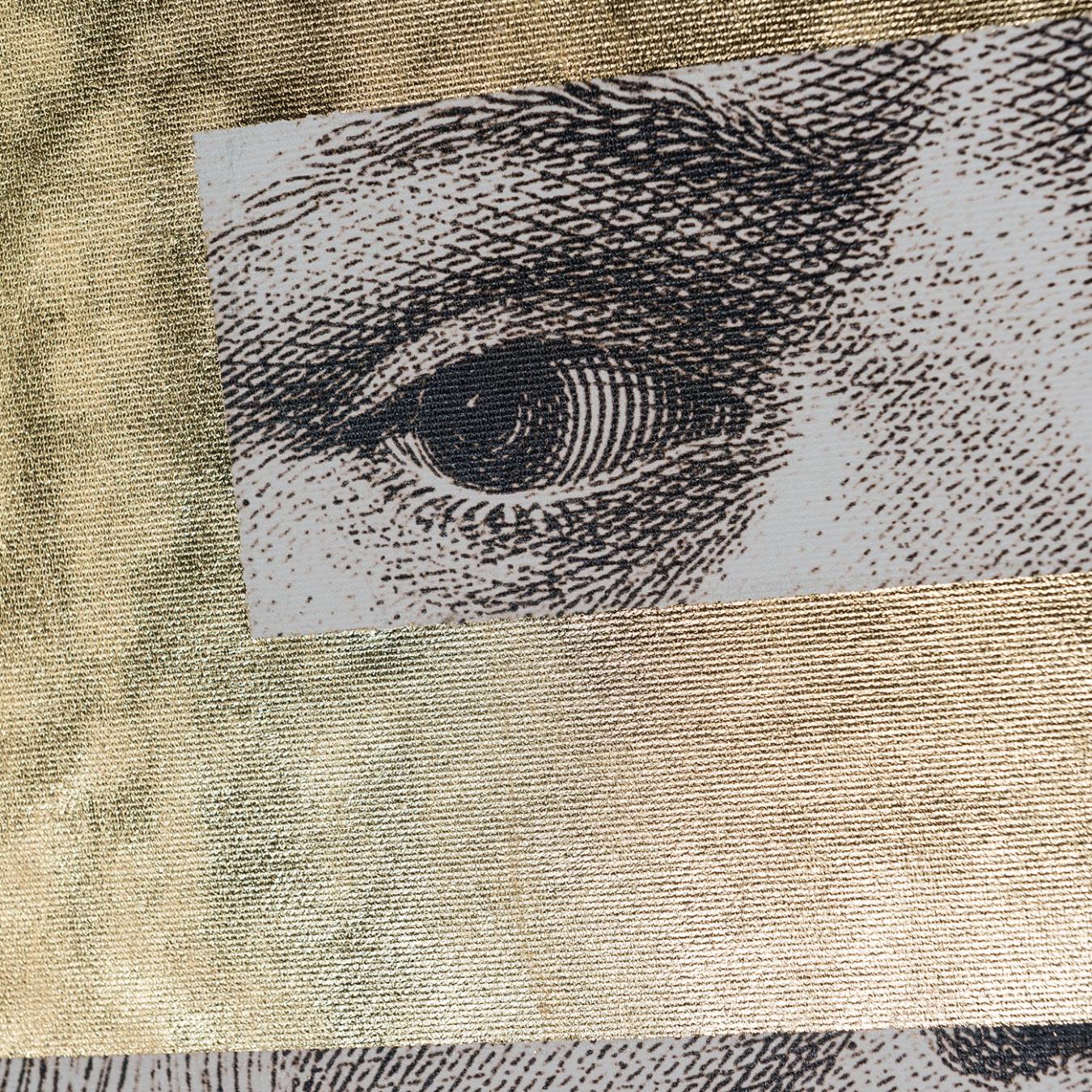 Leonardo Eye Panel
