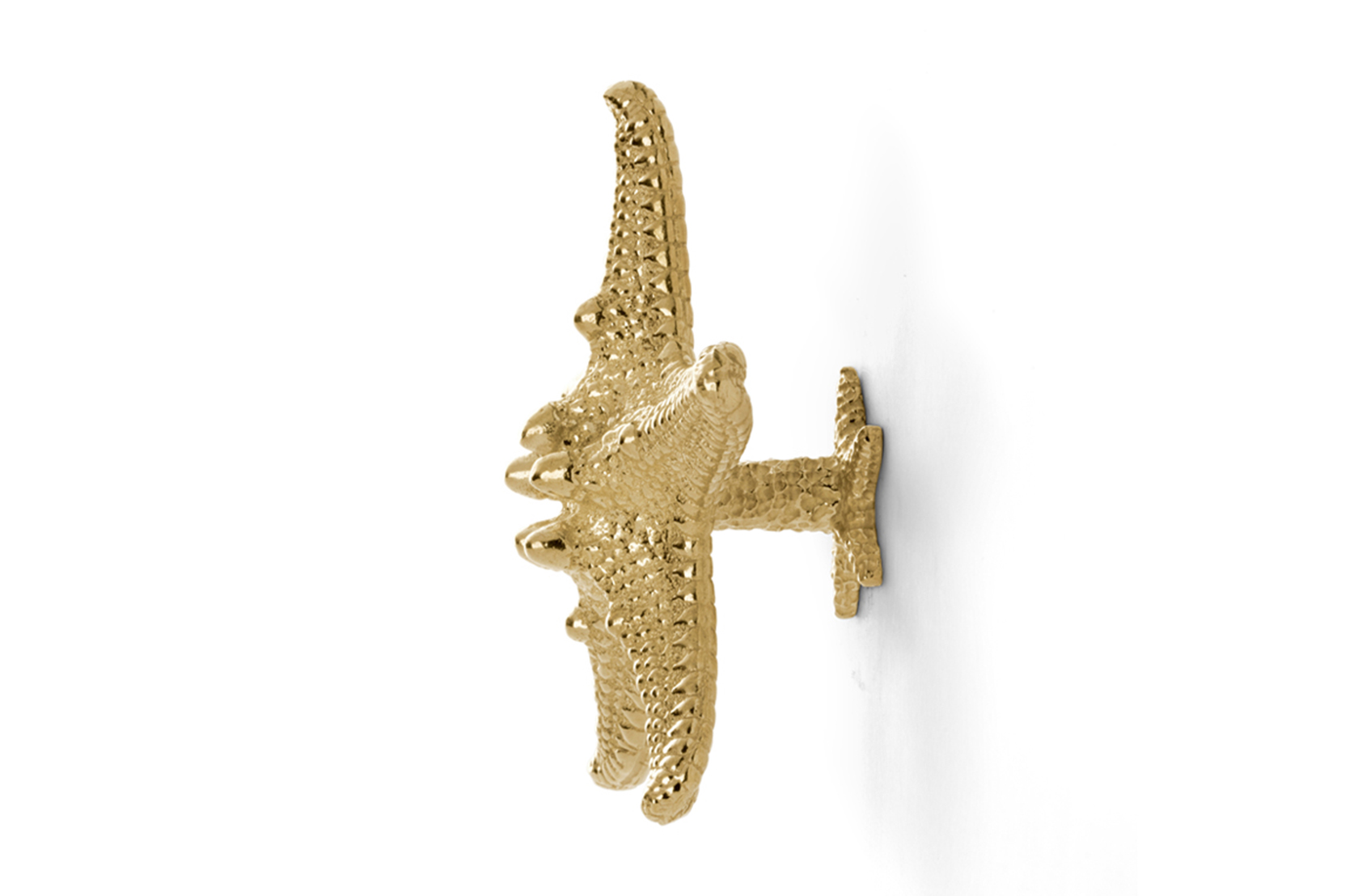 Starfish Linckia Handle