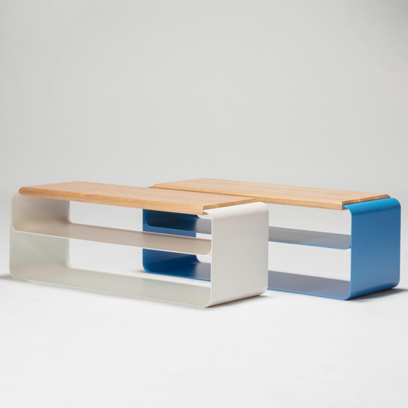 Contemporary Wood &amp; Metal Bench (Var. 2) - 2