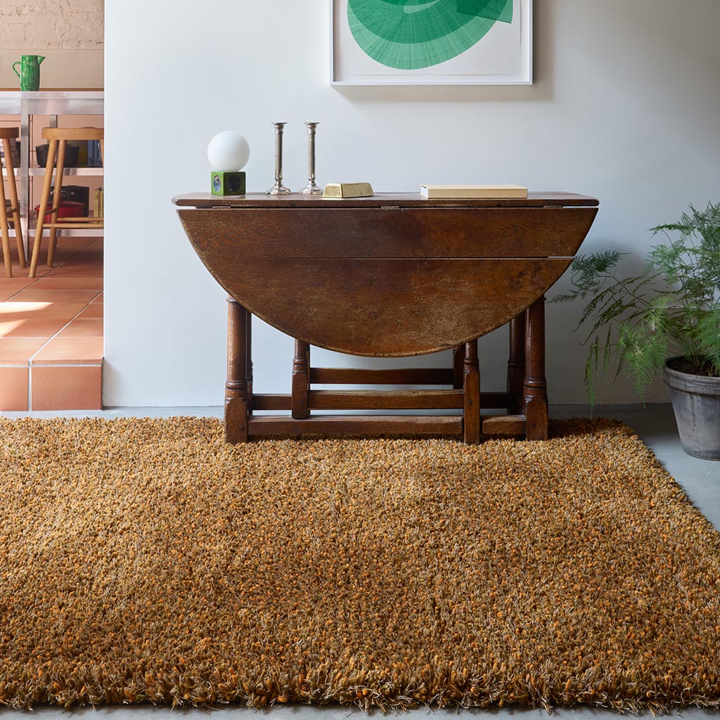 Tangerine Shag Rug