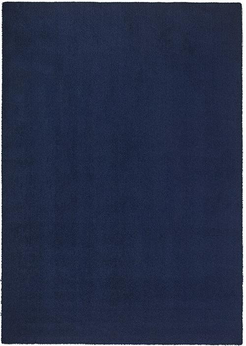 Machine Washable Blue Rug