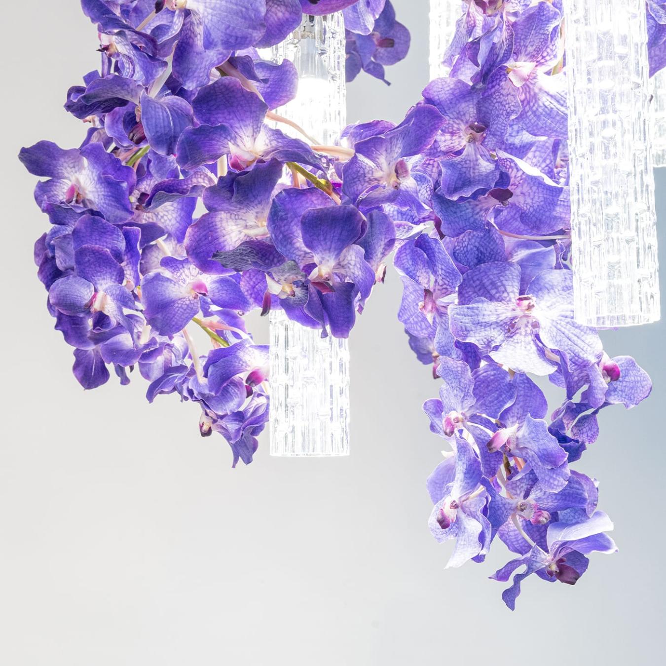 Vanda Large Chandelier