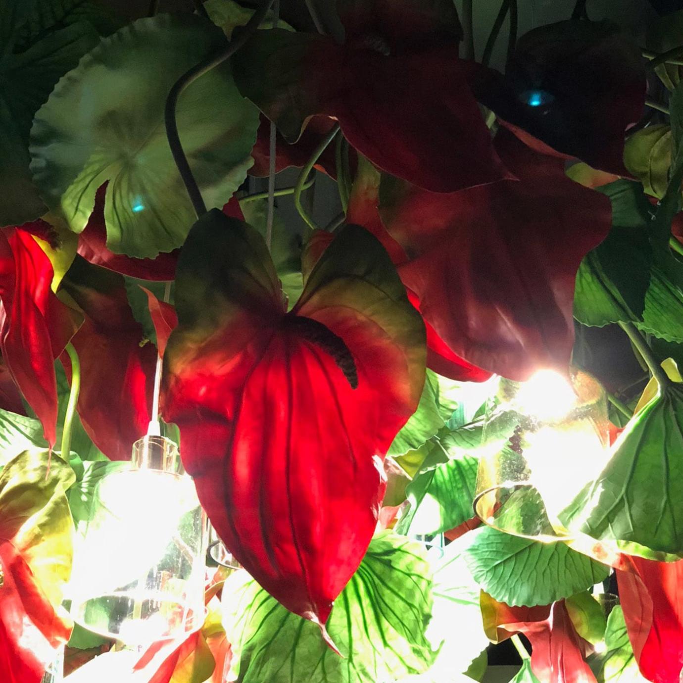 Anthurium Chandelier