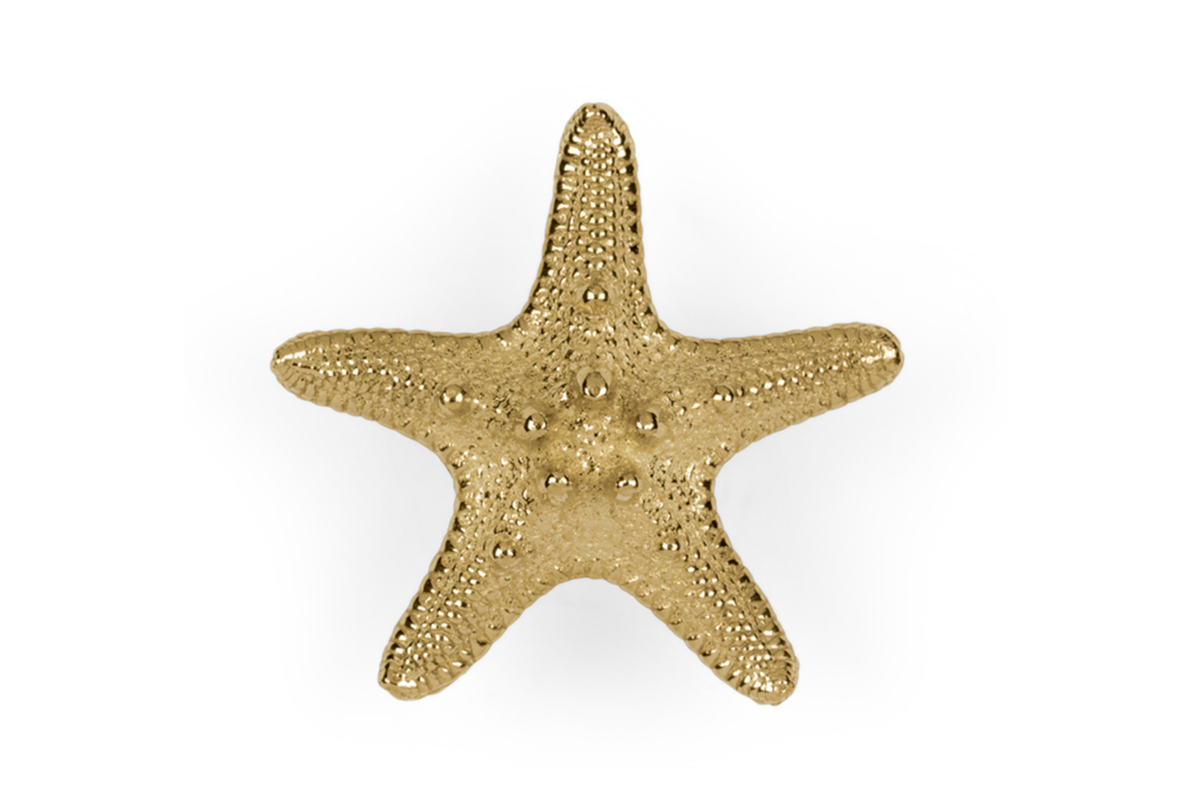 Starfish Linckia Handle