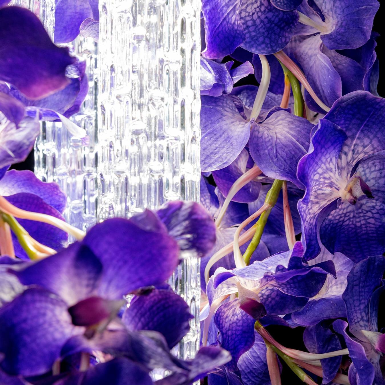 Vanda Square Chandelier