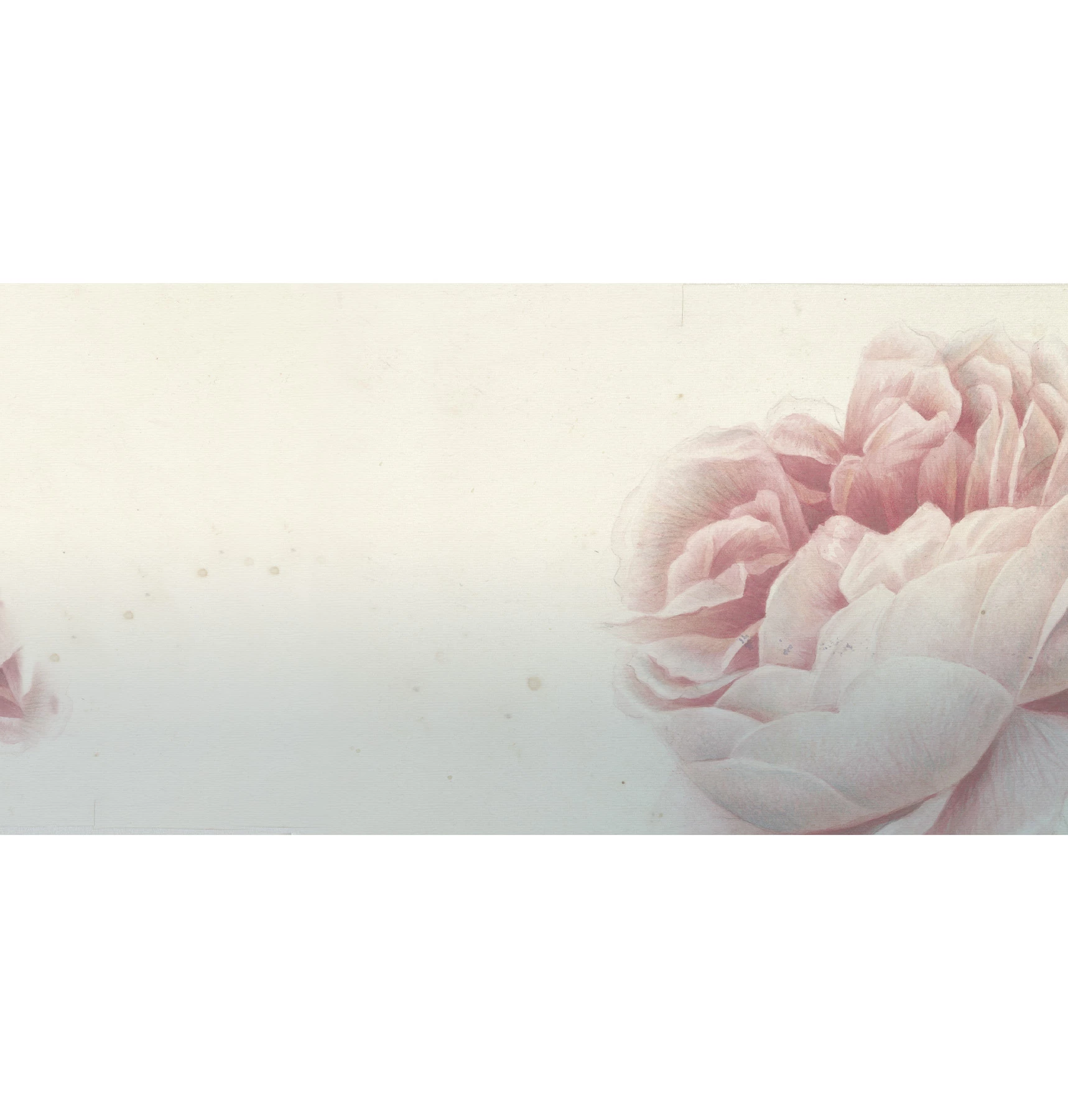 Romantic Flowers Wallpaper