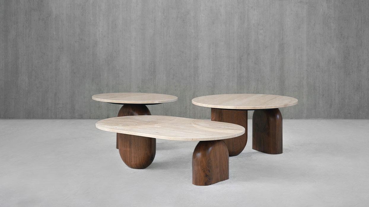 Phillipe Long Coffee Table - 3