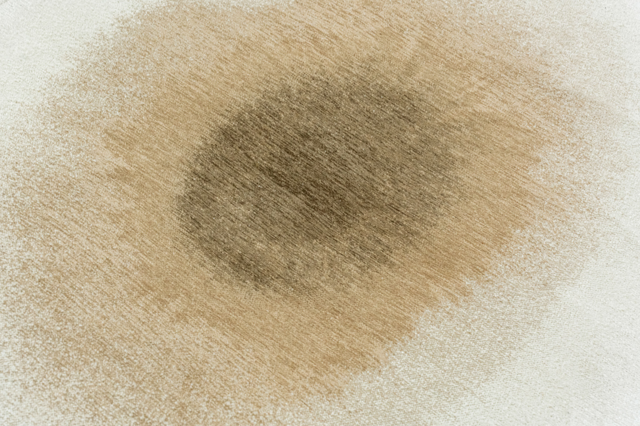 Fawn Rug
