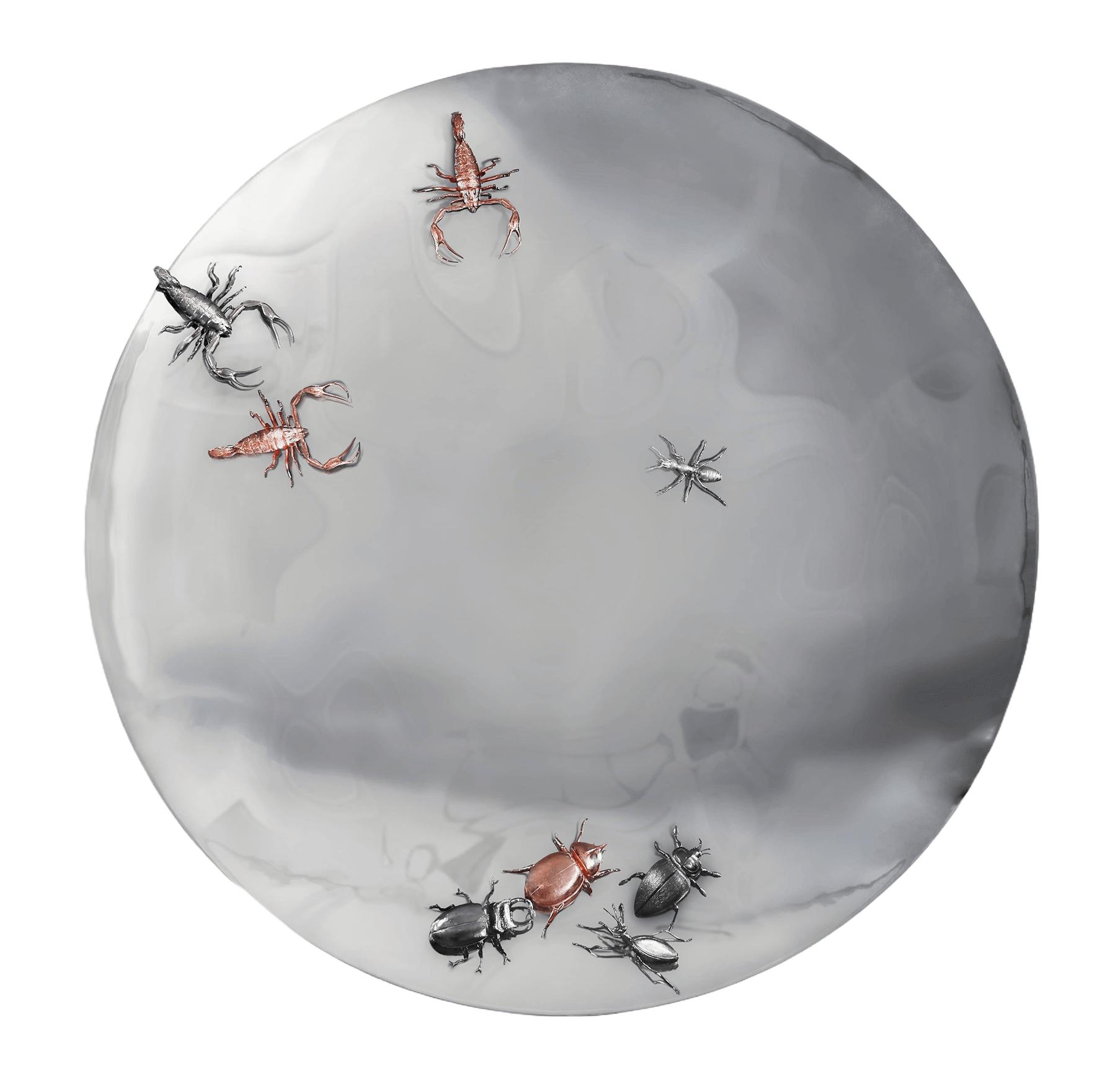Concave Evolution Mirror