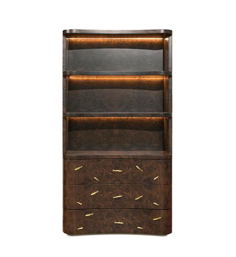 Designer Wood Bookcase
