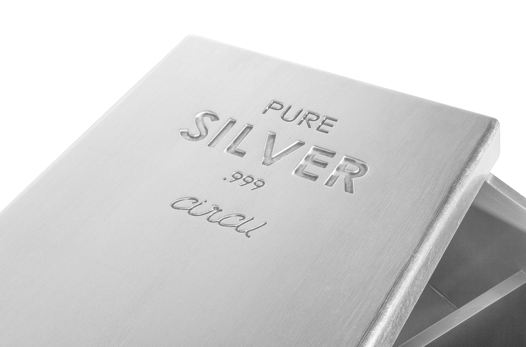 Lunar Silver Toy Chest