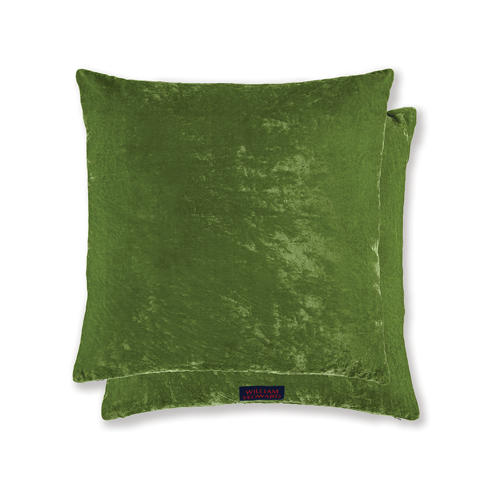 Paddy Cushion