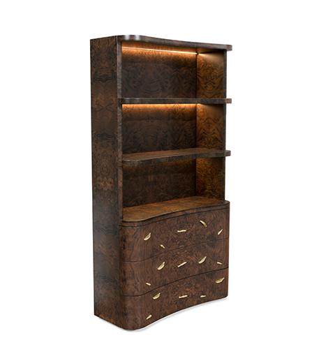 Designer Wood Bookcase