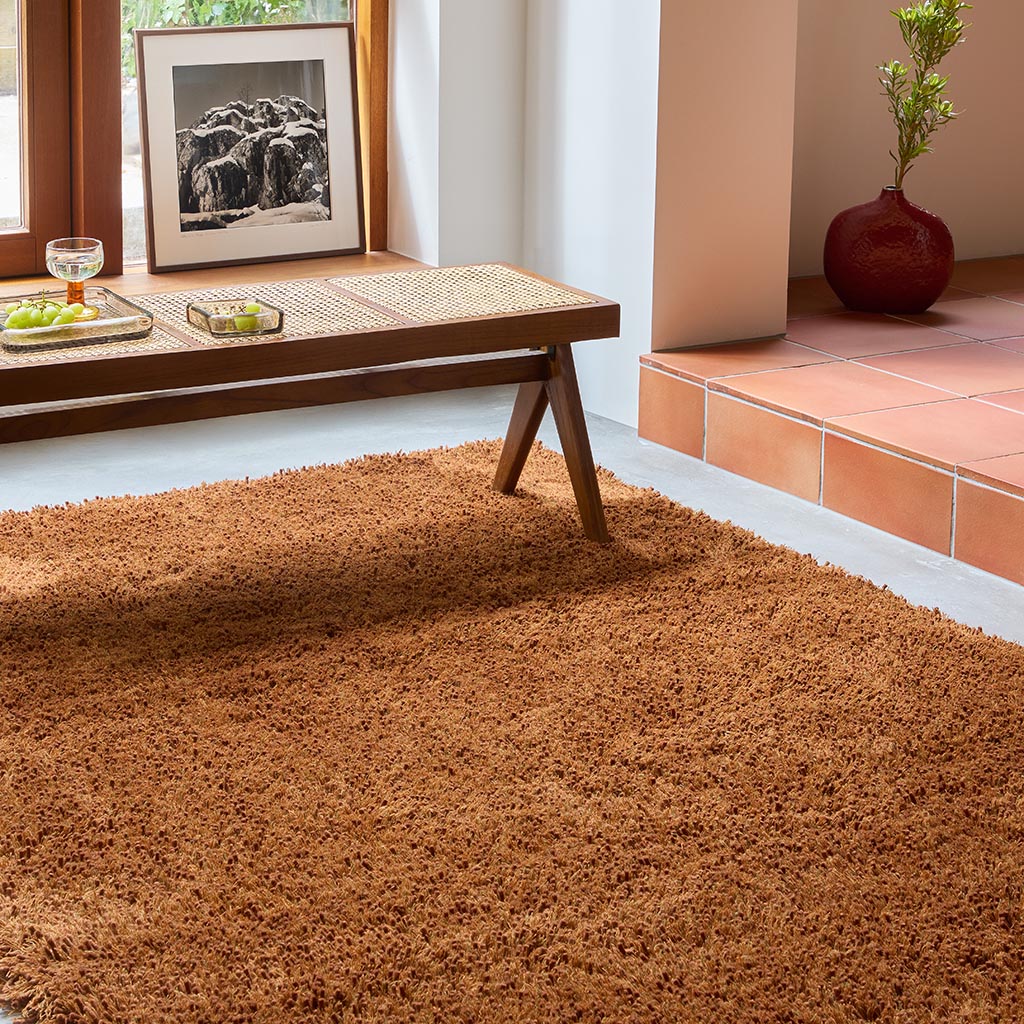 Terracotta Shag Rug