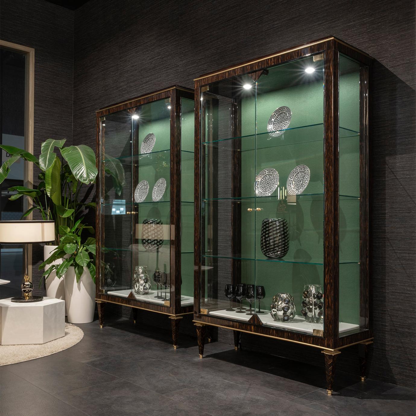 Palm Wood Brass Accents Cabinet