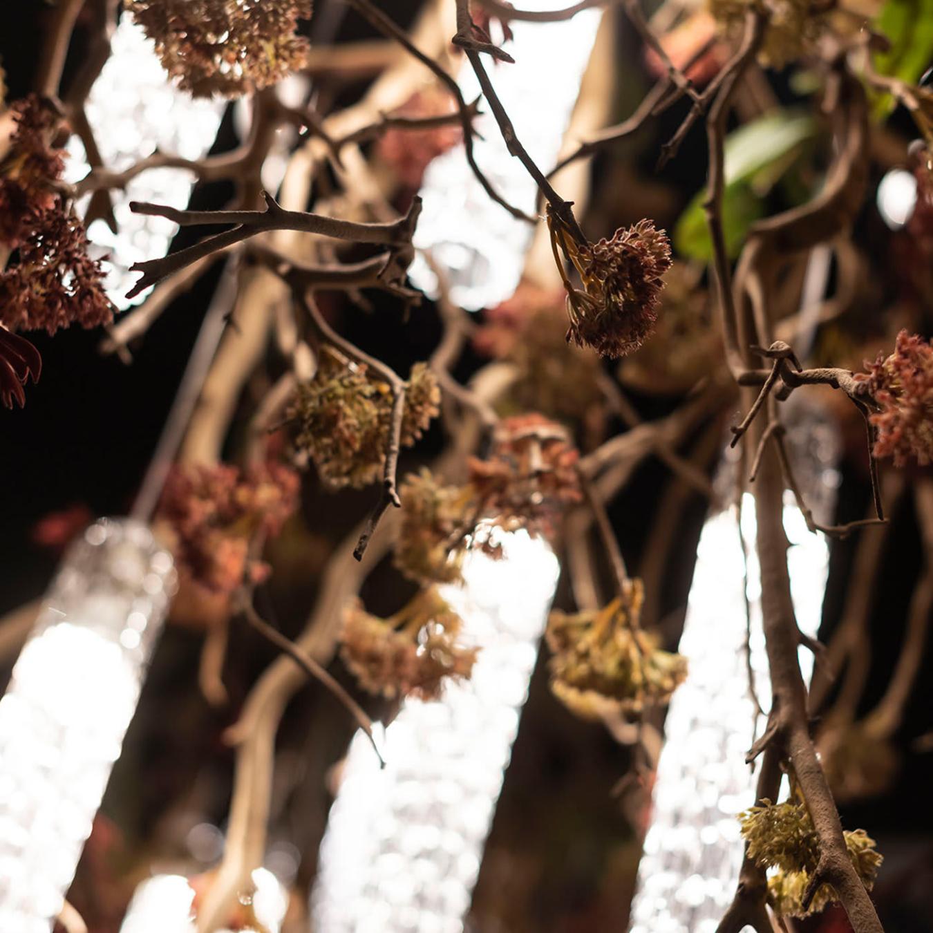 Manzanita Chandelier