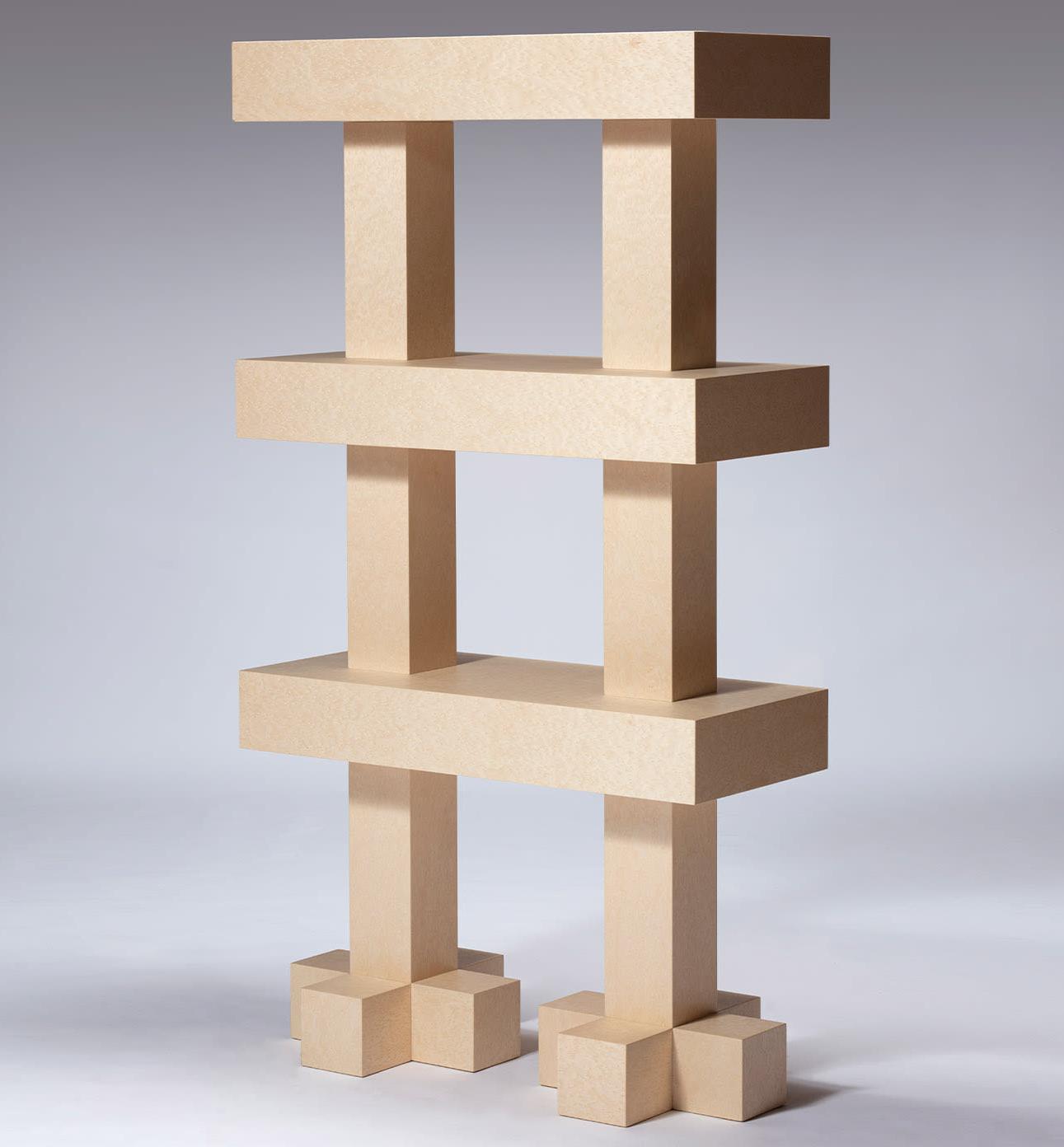 Contemporary Wooden Bookcase