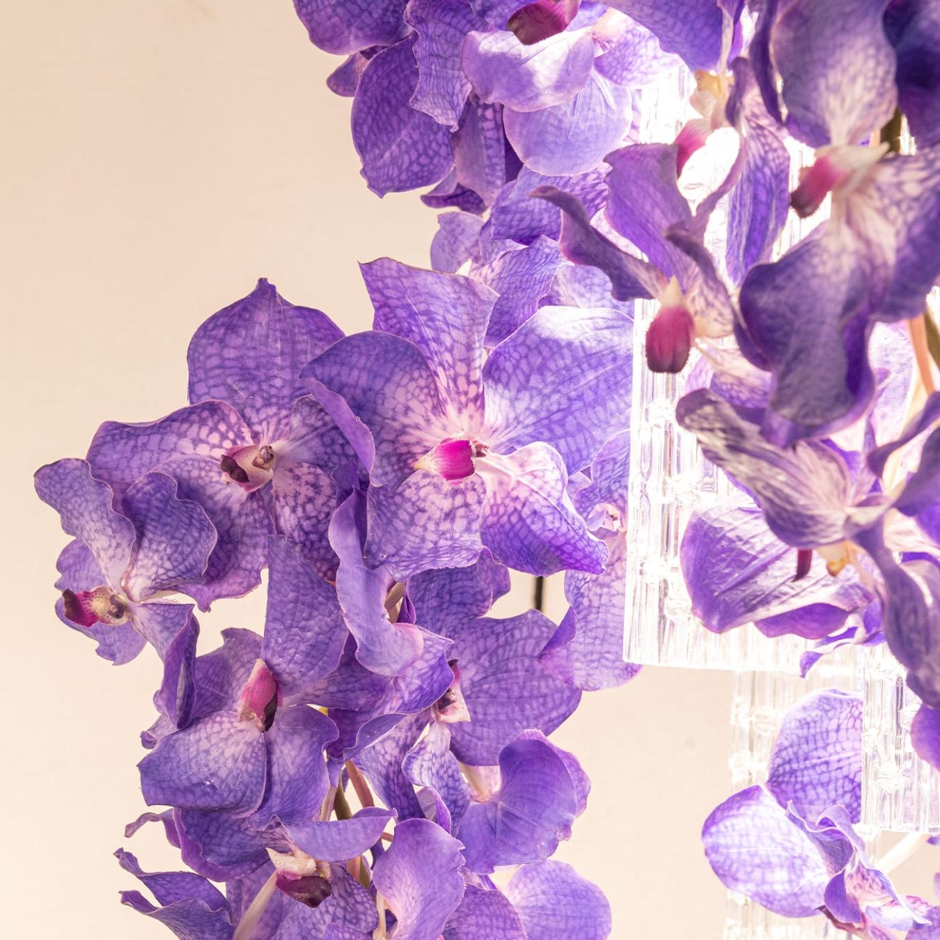 Vanda Square Chandelier