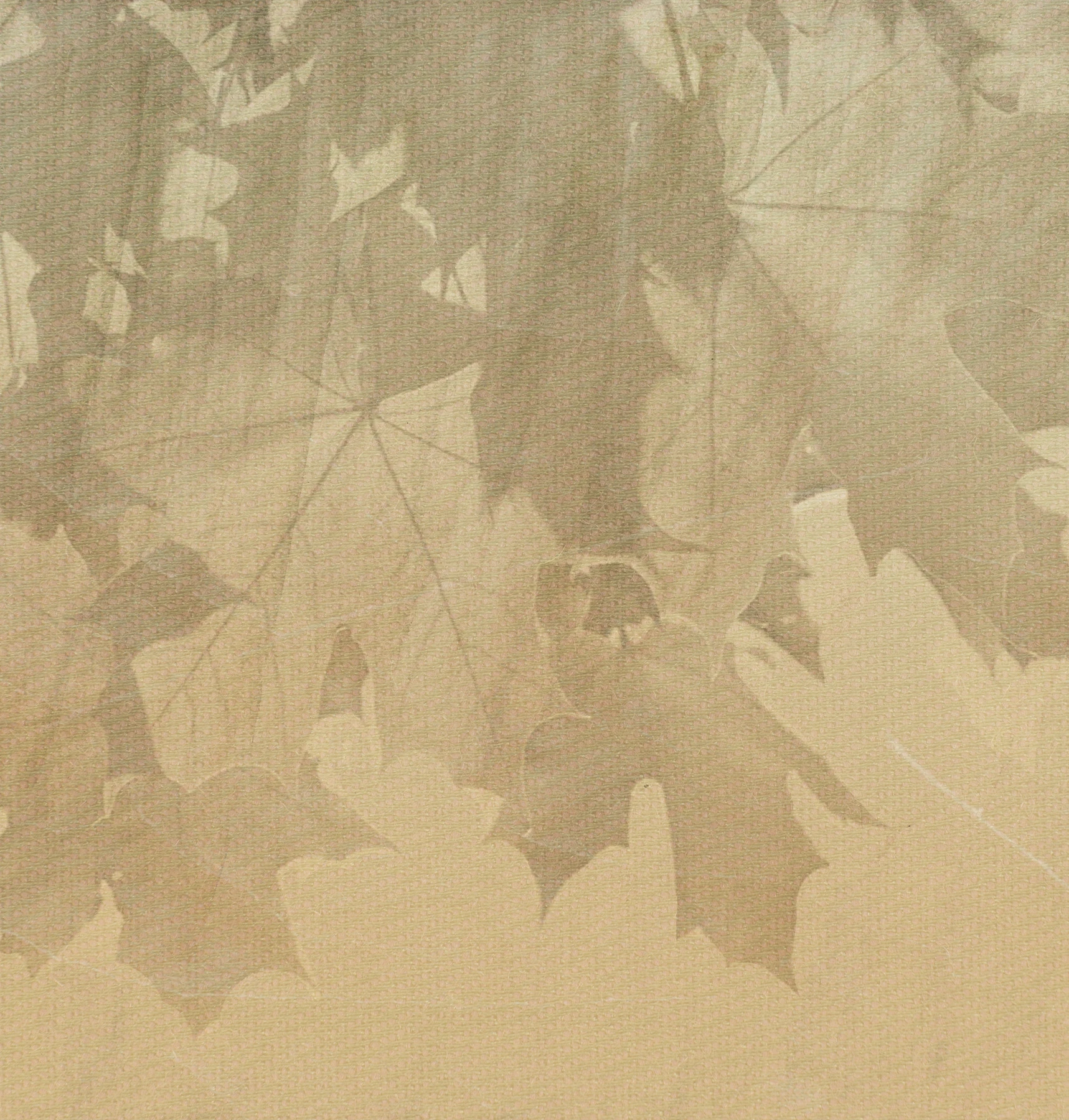 Creative Leaves Wallpaper