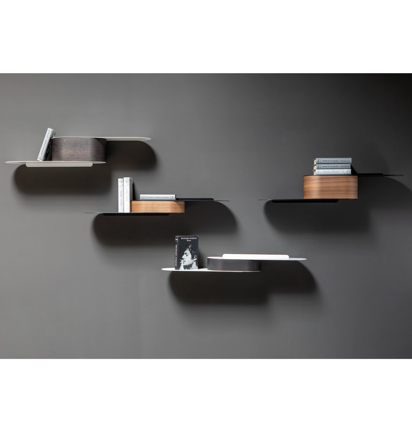 Snowboard Shelf