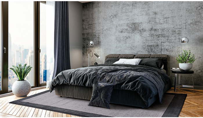 Border Plain Grey Rug