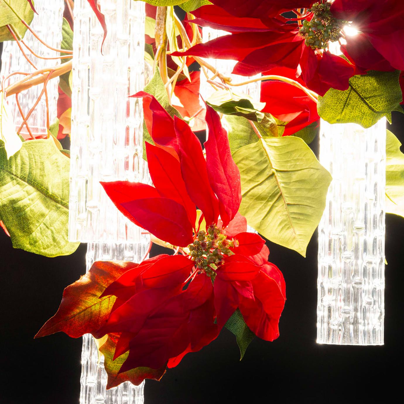 Poinsettia Chandelier