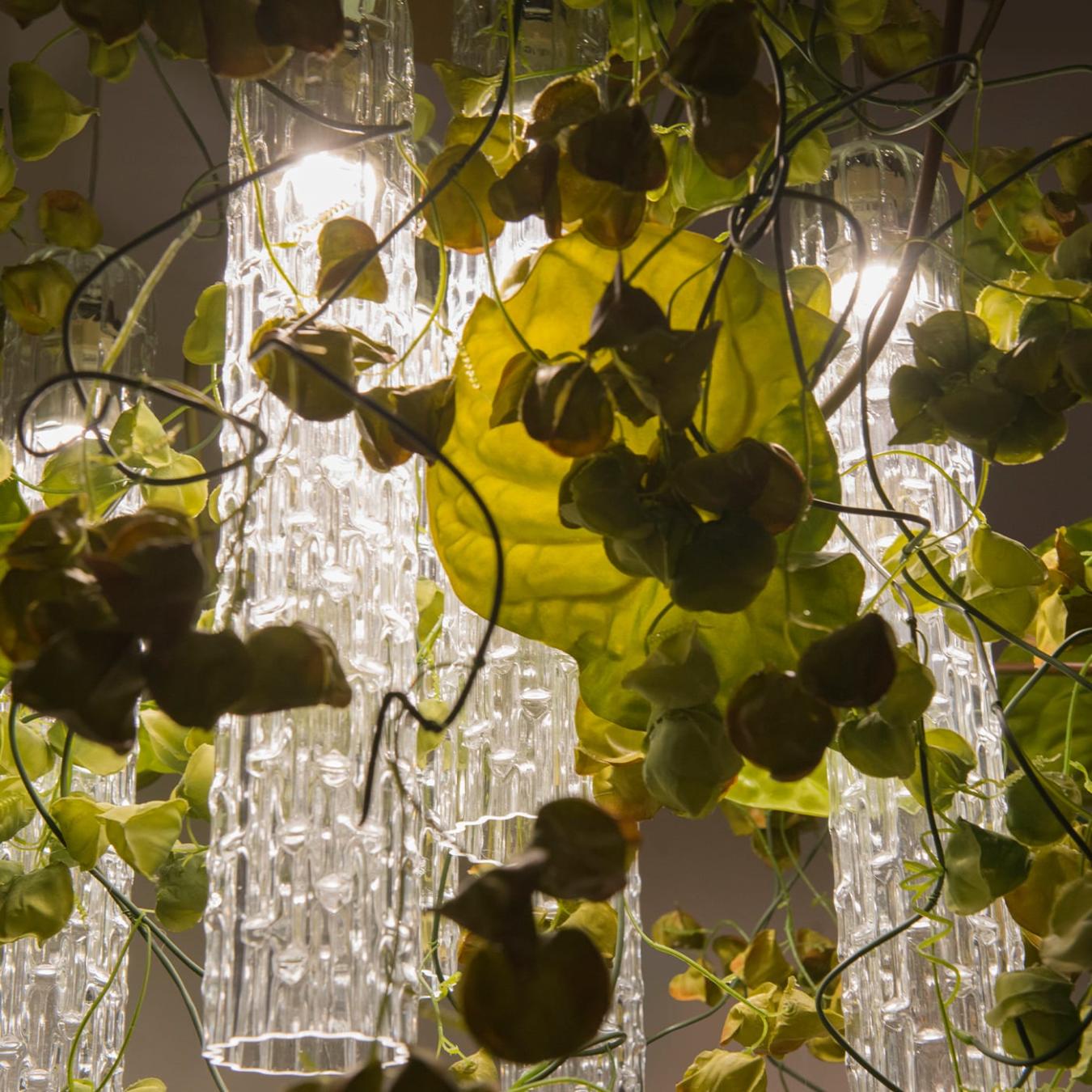 Physalis Anthurium Chandelier
