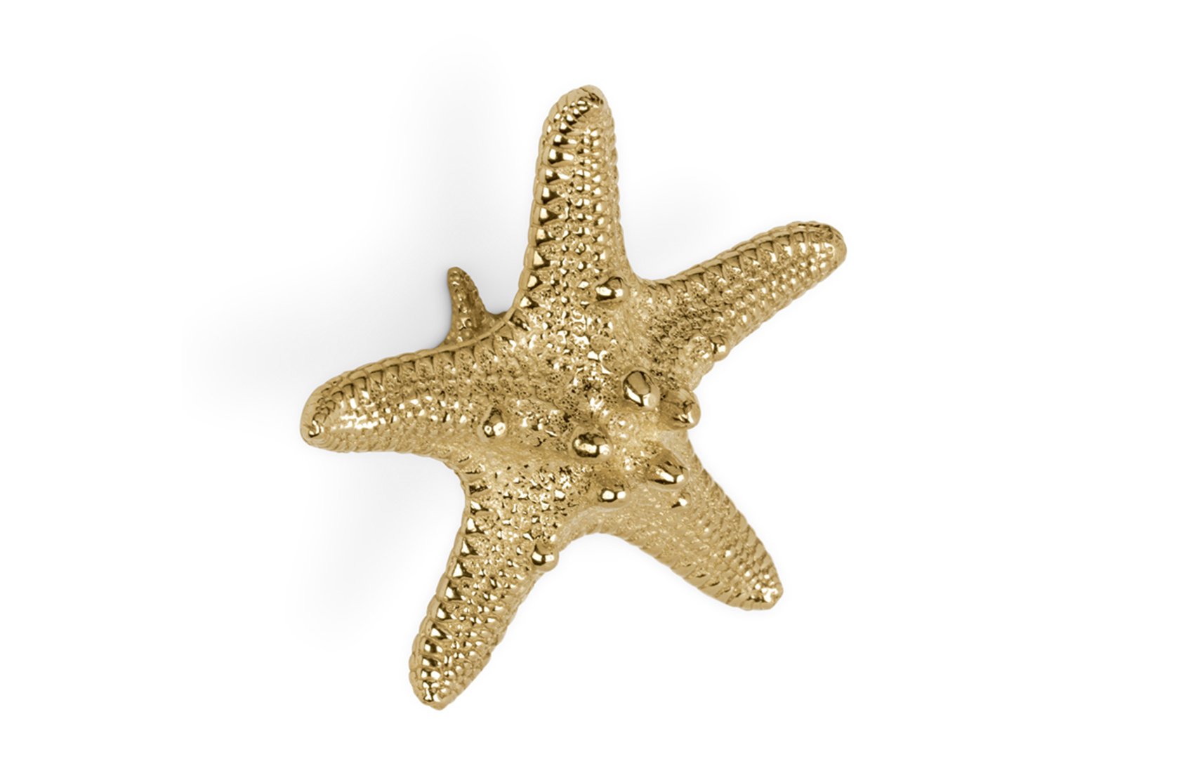 Starfish Linckia Handle