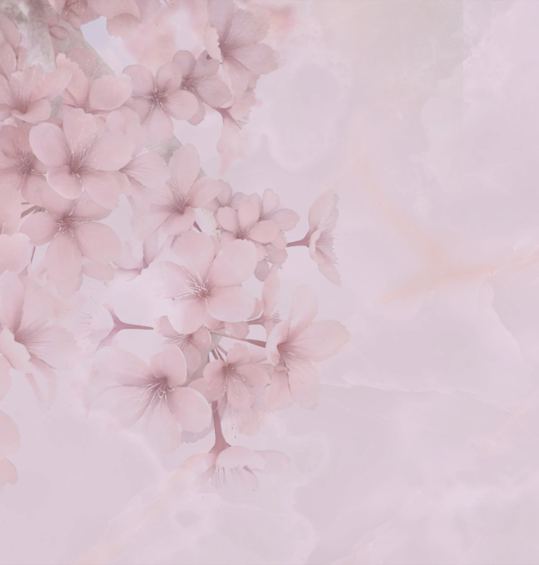 Bloom Wallpaper