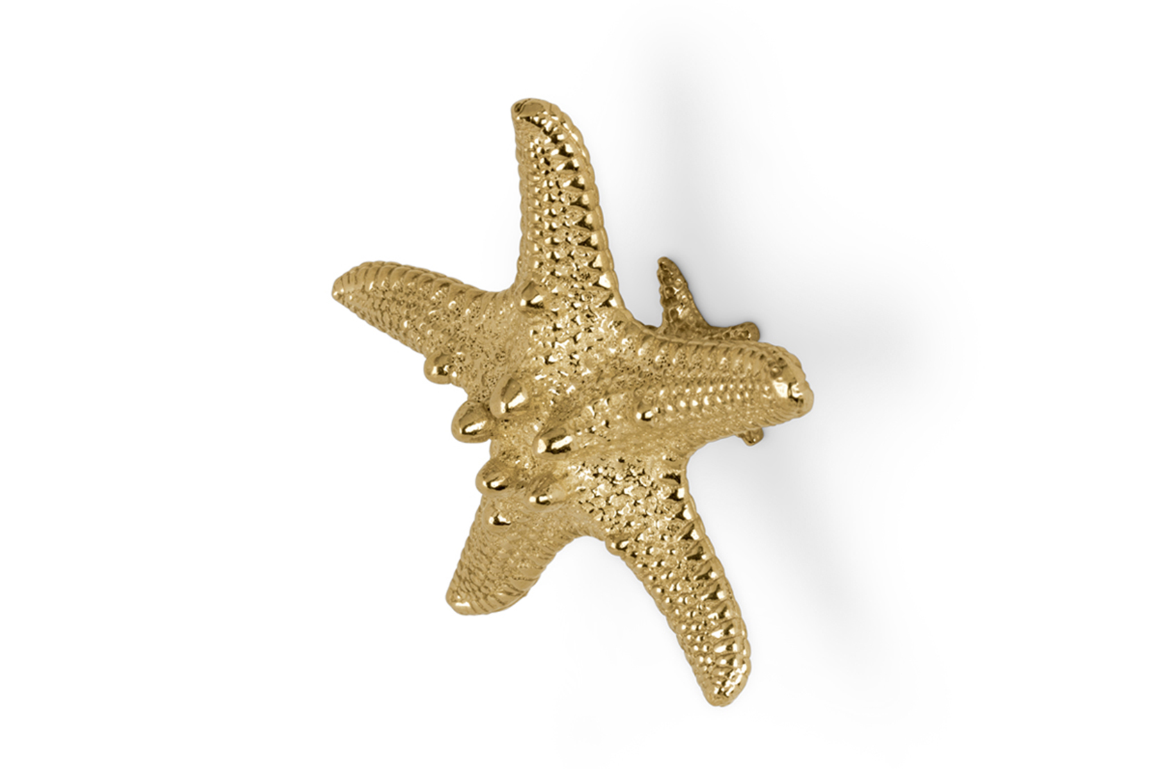 Starfish Linckia Handle