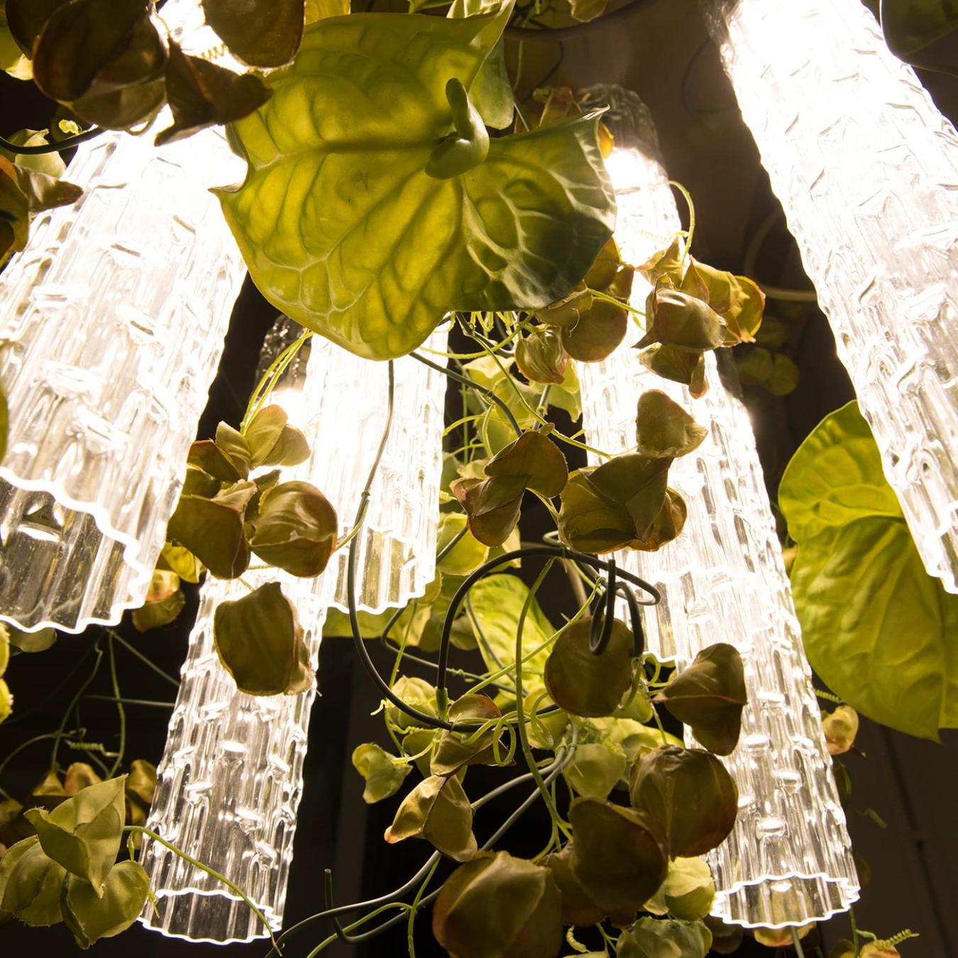 Physalis Anthurium Chandelier