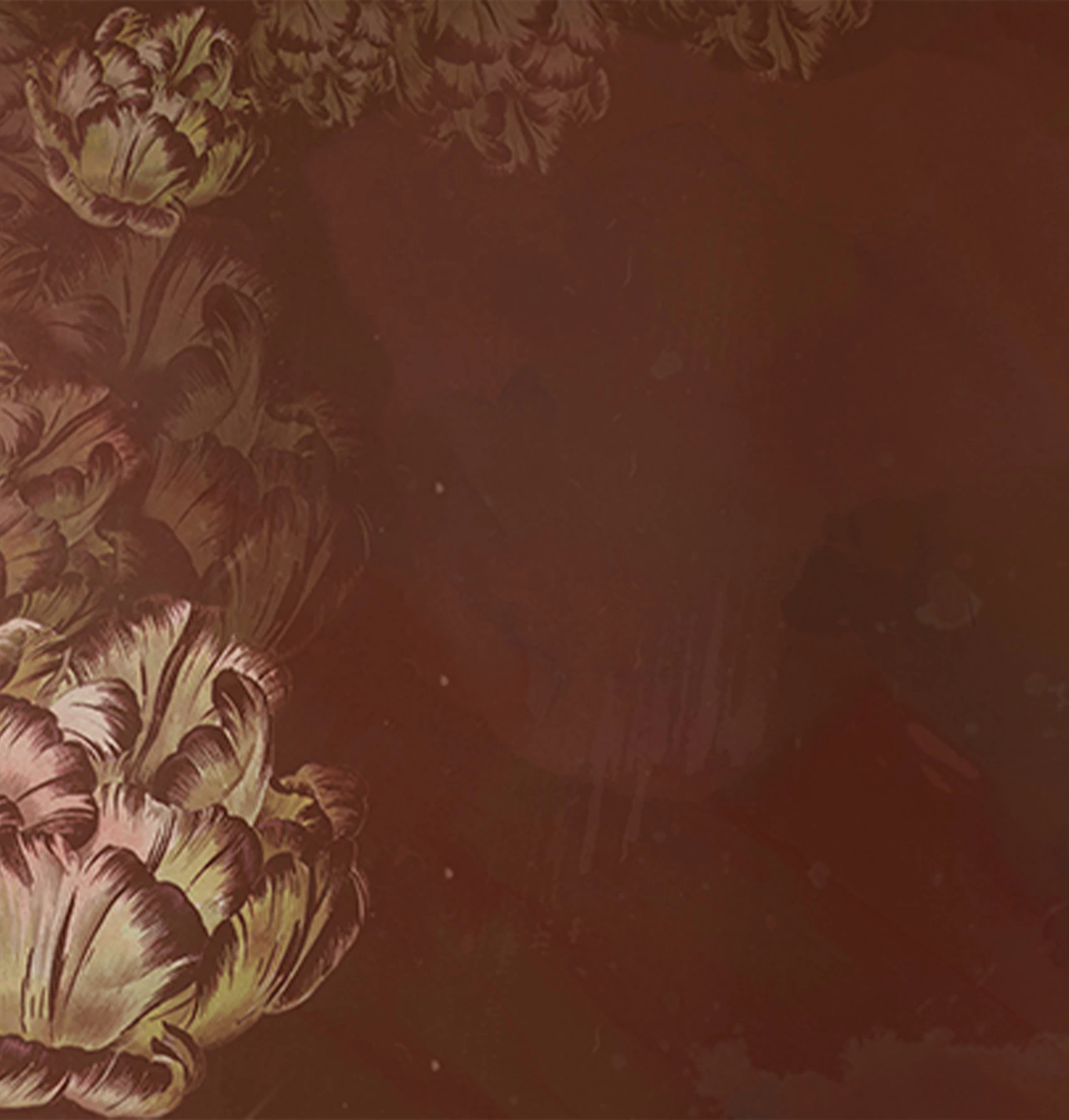 Chicory Wallpaper