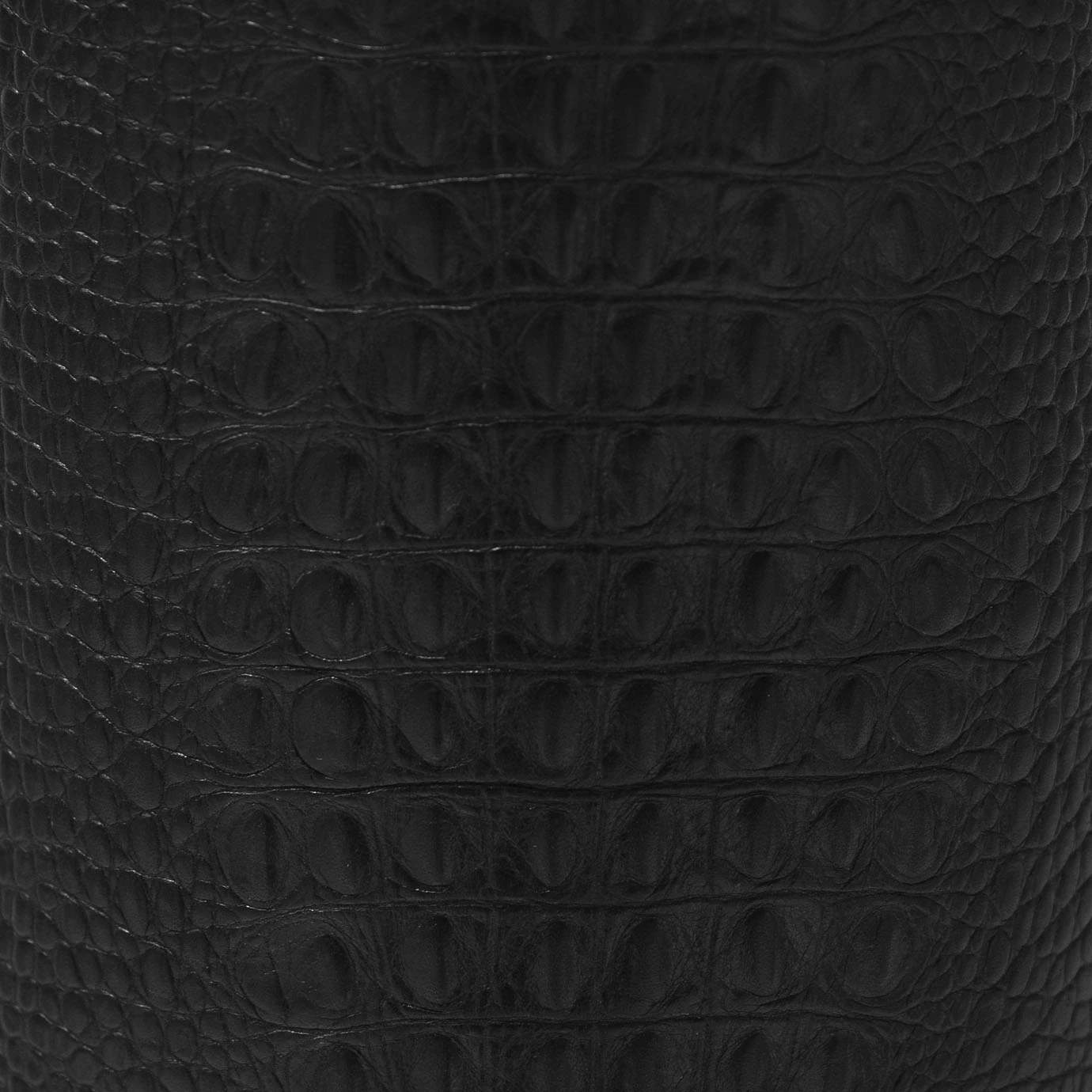 Reptilia Table Lamp