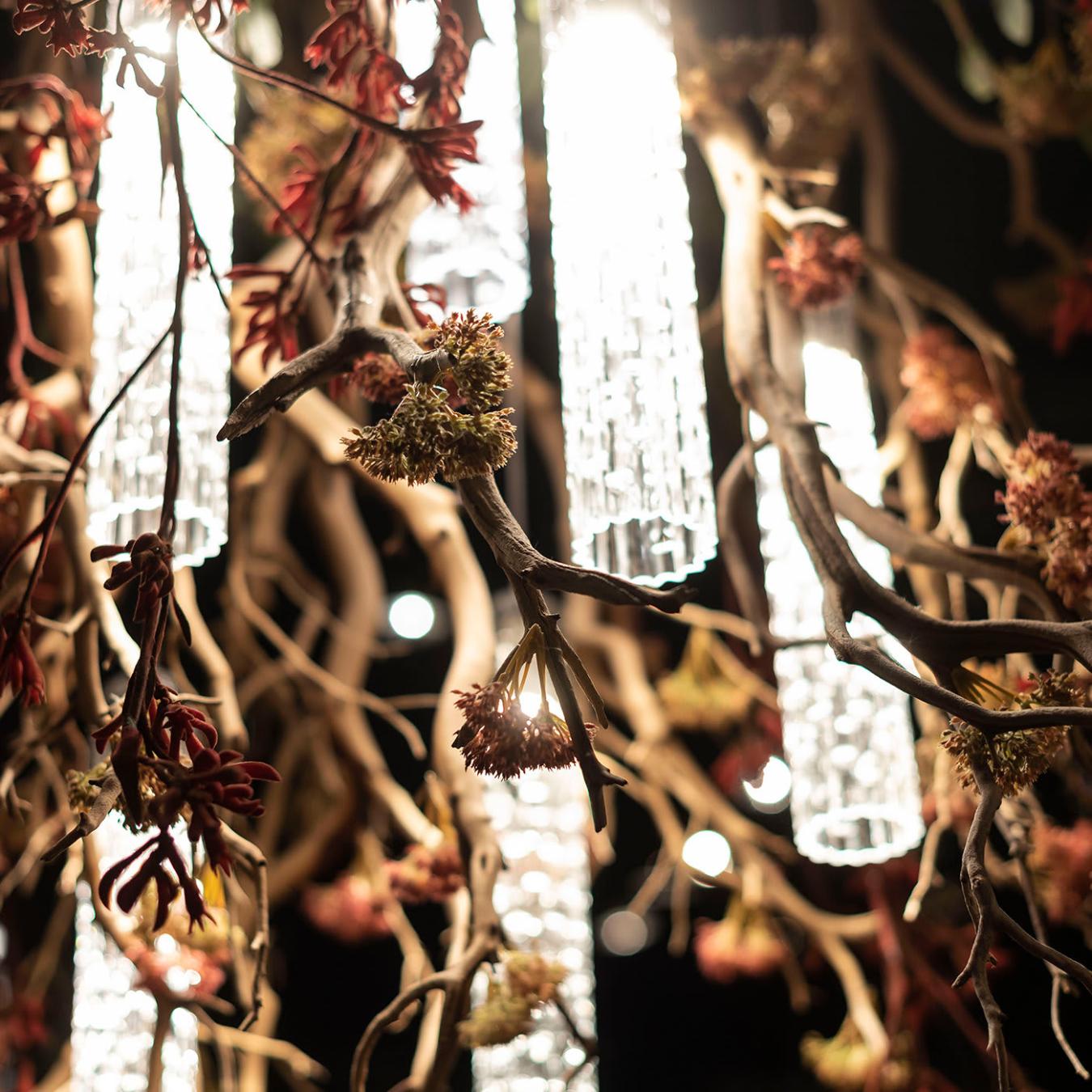 Manzanita Chandelier