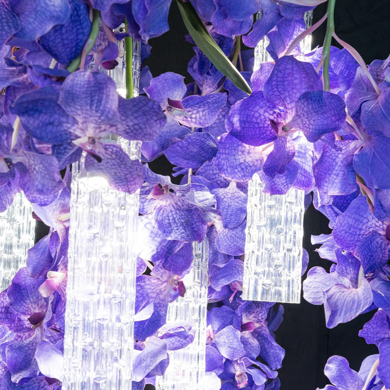 Vanda Large Chandelier