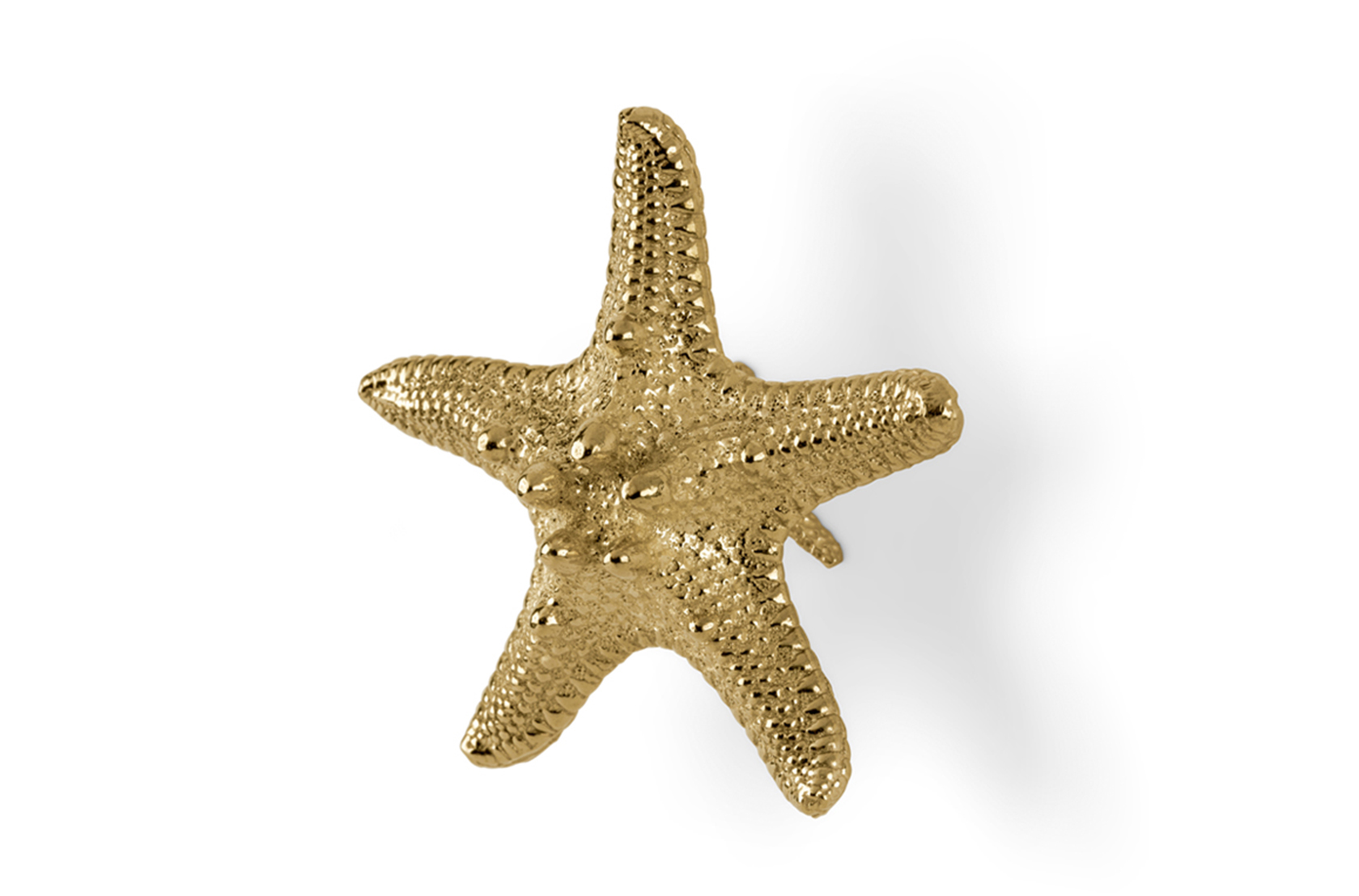 Starfish Linckia Handle