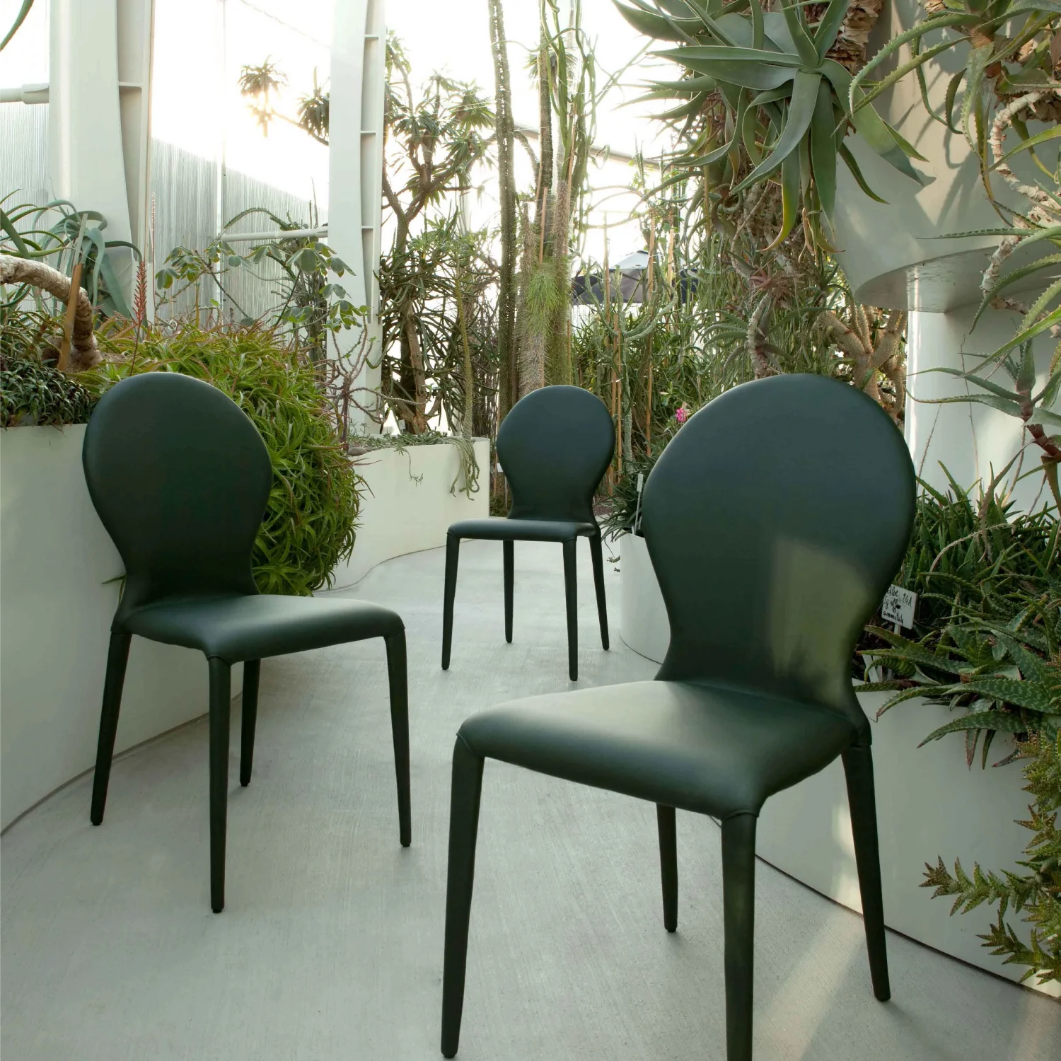 Zar Chair - 3