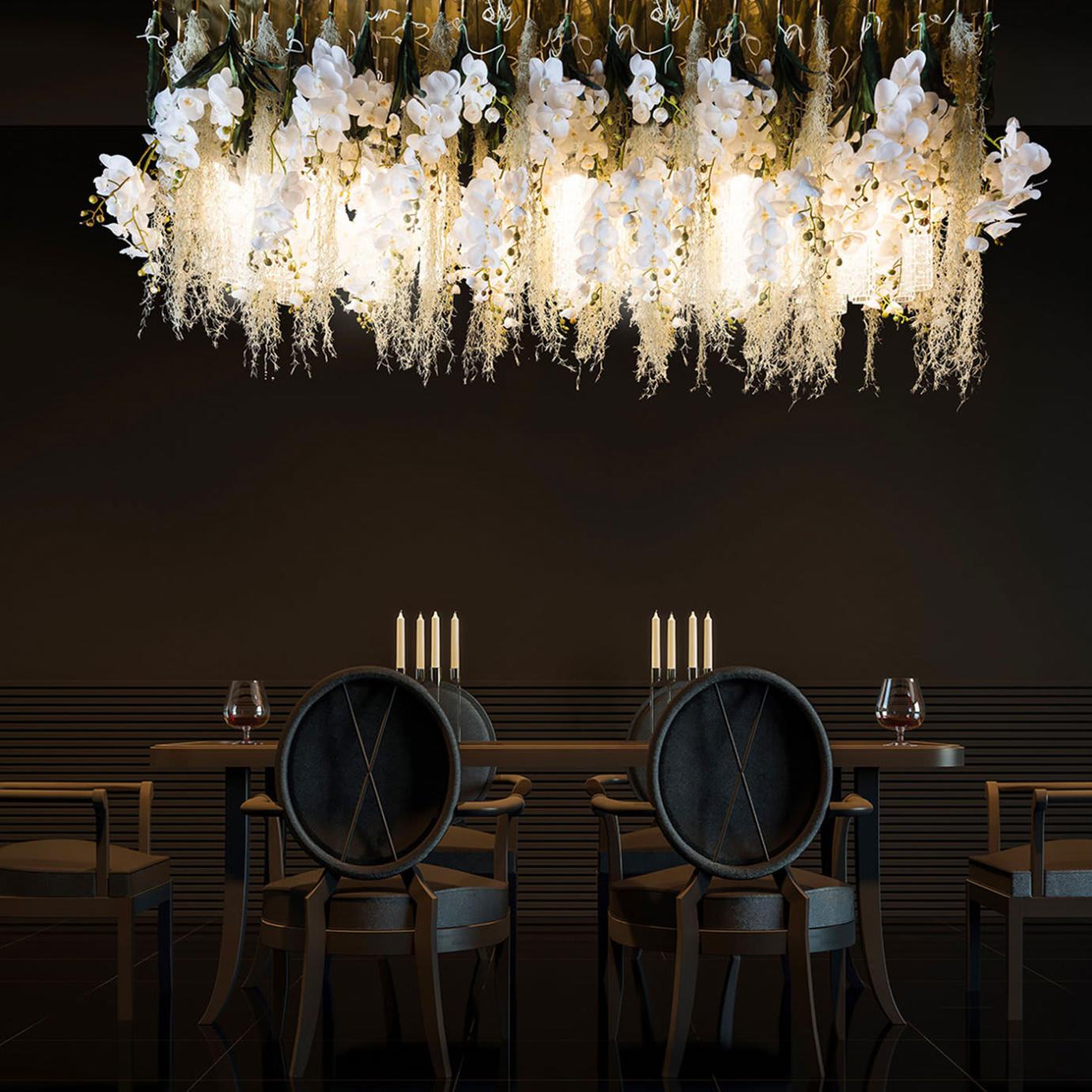 Phalaenopsis Chandelier