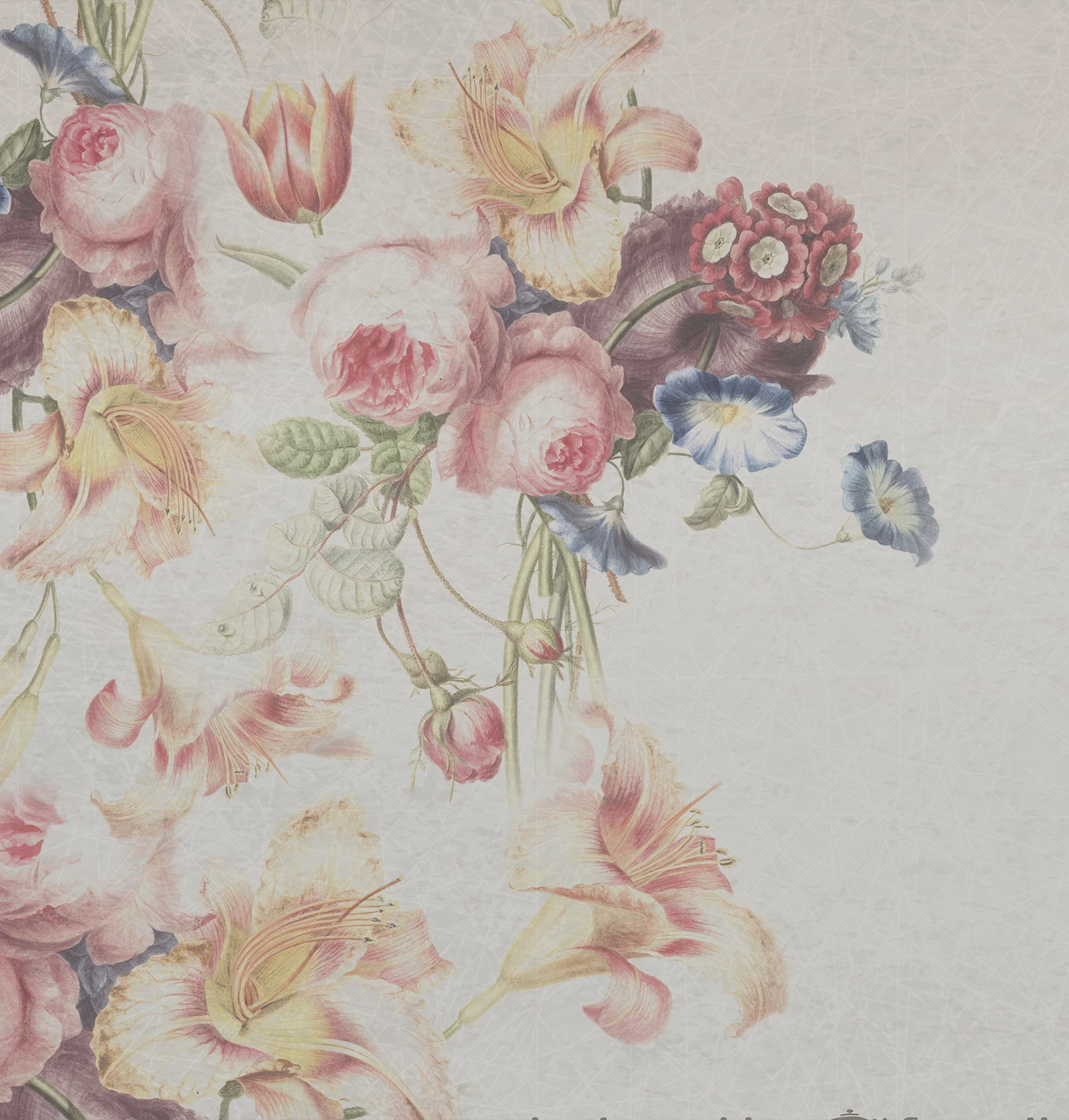 Spring Flower Wallpaper
