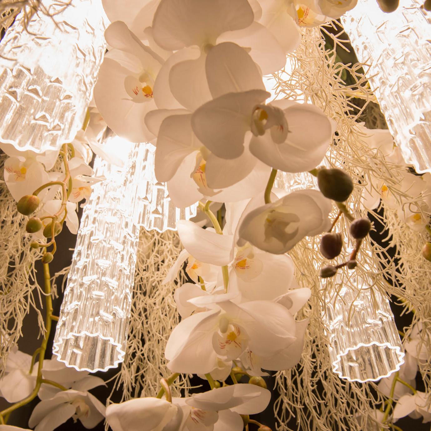 Phalaenopsis Chandelier