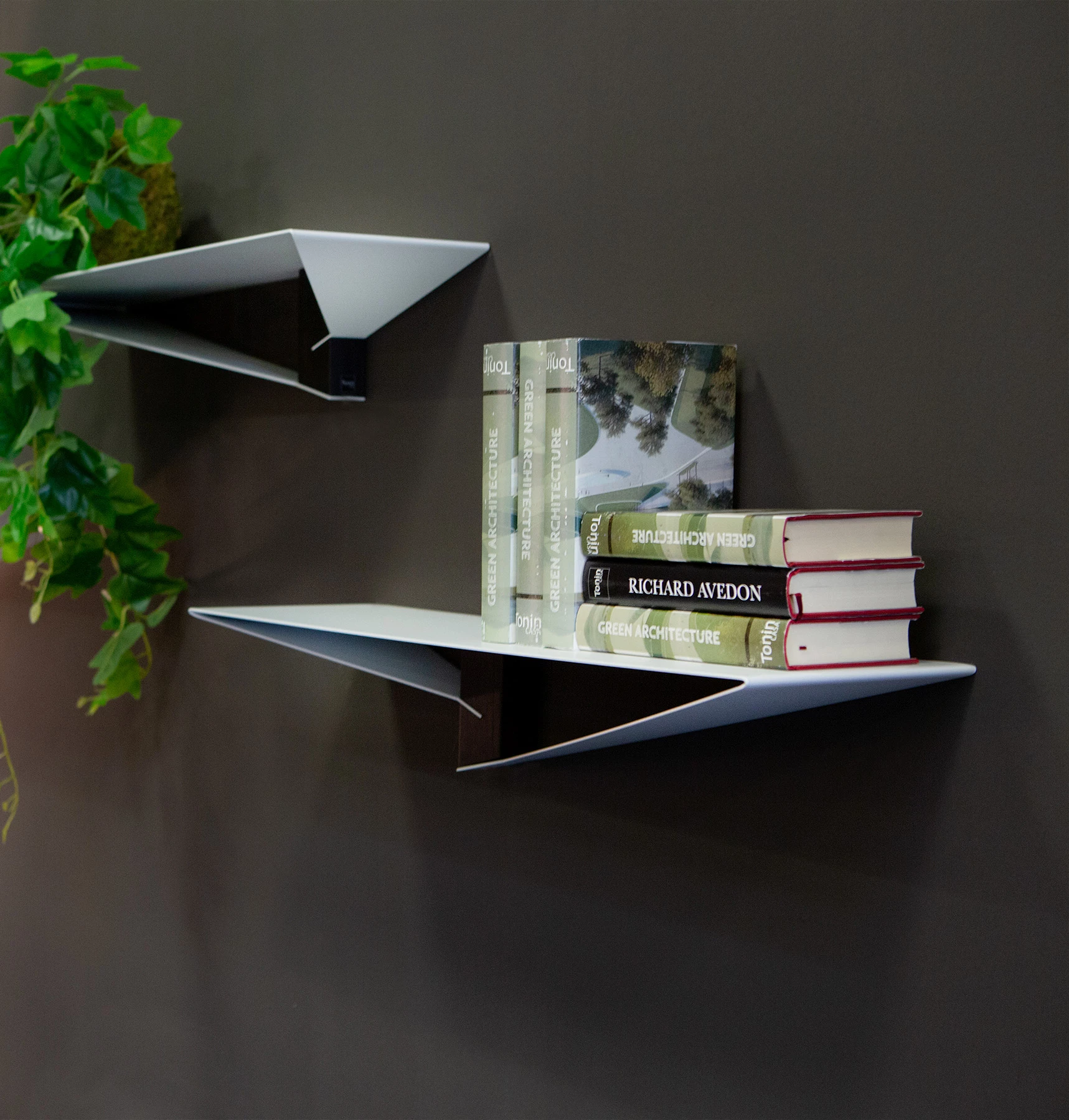 Albatros Shelf