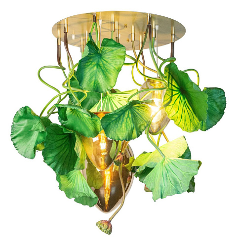 Dichondra Round Chandelier