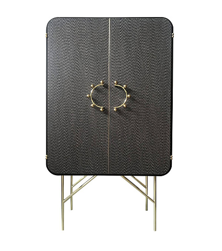 Contemporary Wooden Cabinet