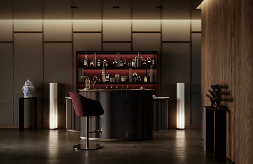 Dry Home Bar with Counter